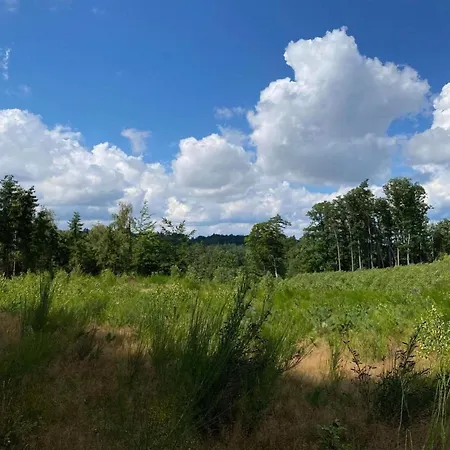 In The Countryside, With Pool, Garden Ubiedrze